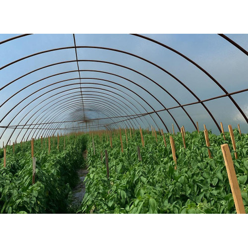 Пленка тепличная на размотки 12 м/150 мкм GLAESERgrow